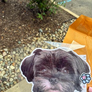 Taylor added a photo of their purchase