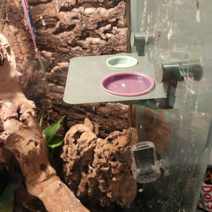 Tiena added a photo of their purchase