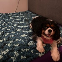 Squishy Home Blanket | Crochet Pattern | Designed by Kaylee Knots