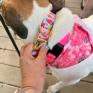 Alicyn added a photo of their purchase