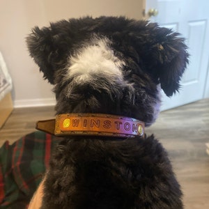 Blain added a photo of their purchase