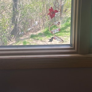 Amanda added a photo of their purchase