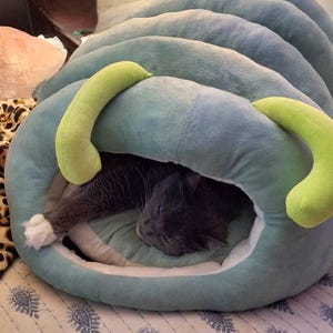 Della added a photo of their purchase
