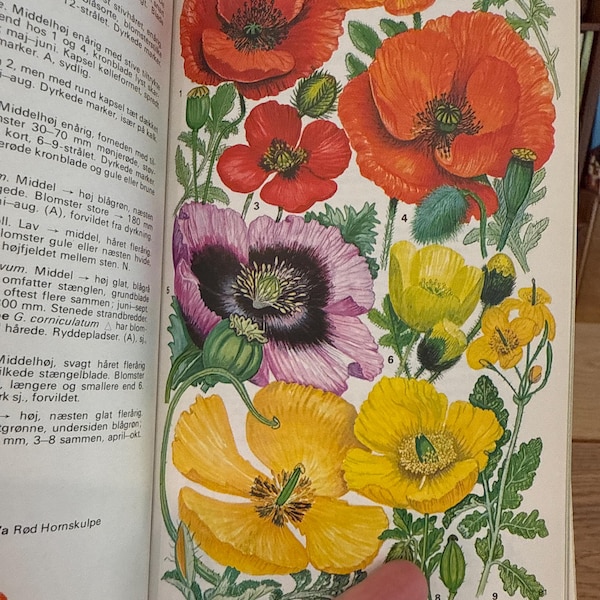 Image showcasing Scandinavian Beds and Bedroom Décor Ideas - Hudson Furniture