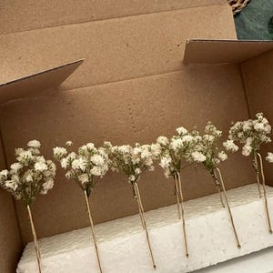 v. added a photo of their purchase