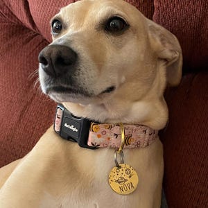 Bonnie added a photo of their purchase