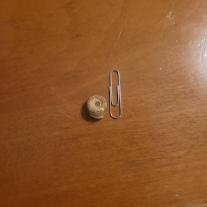 Compte inactif a ajouté une photo de son achat