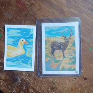 Vincent added a photo of their purchase