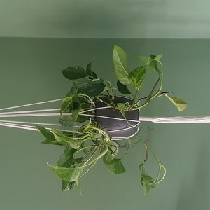 Anne added a photo of their purchase