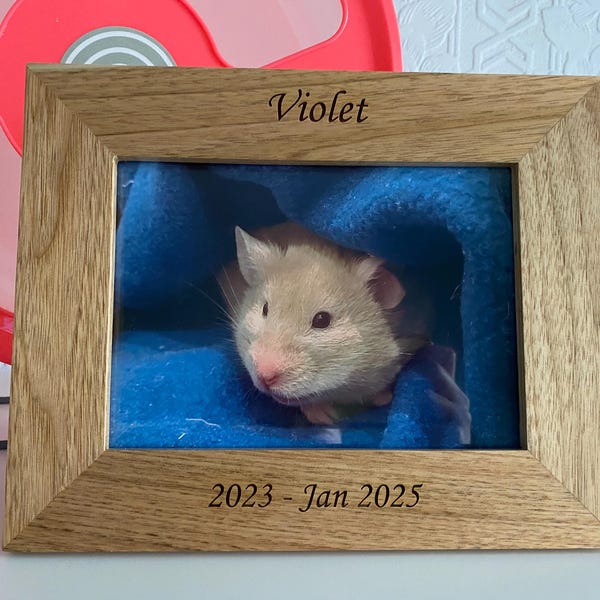 EIO Gifts Personalised Gold Cast Recognition Cup Trophy/Award, With Custom