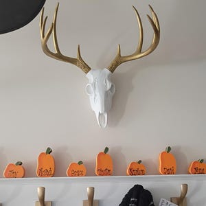 Whitney added a photo of their purchase