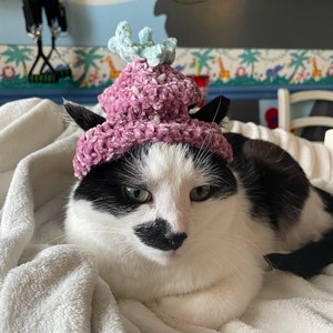 Rachel added a photo of their purchase