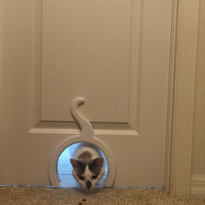 kitty pass interior door