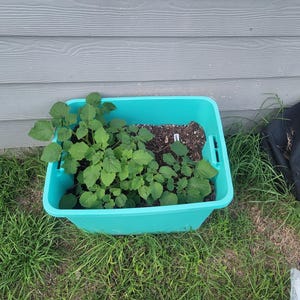 Shanquetta added a photo of their purchase