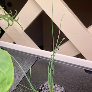 Nancy dodał(a) zdjęcie swoich zakupów