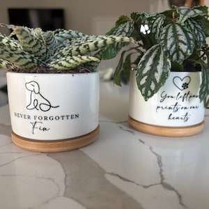 Ally added a photo of their purchase