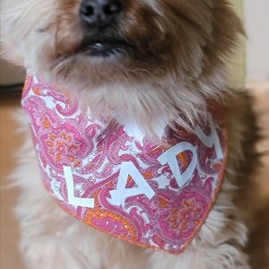 60 Dog Grooming BANDANAS 15 S 15 M 15 L 15 XL Pet Scarf