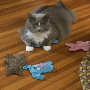 Kim added a photo of their purchase