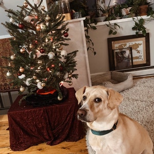 Meredith added a photo of their purchase