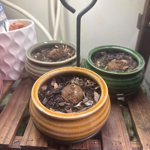 Marcia added a photo of their purchase