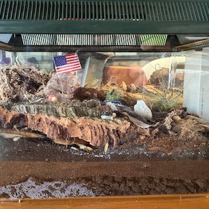 Nathaniel added a photo of their purchase