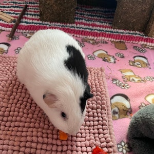 Lila added a photo of their purchase