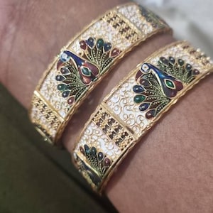 Aparajita added a photo of their purchase