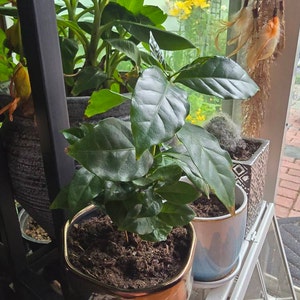 Laura added a photo of their purchase