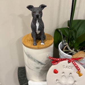 Jasmine added a photo of their purchase