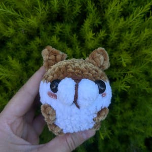 ameliebear heeft een foto van de aankoop toegevoegd