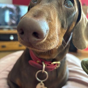 Sally added a photo of their purchase