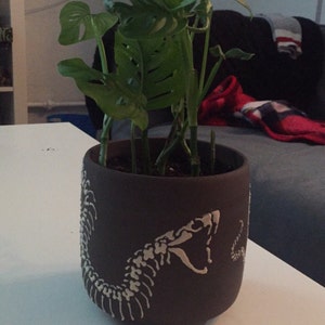 Shawna added a photo of their purchase