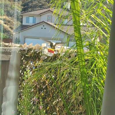 NEW Flower Single Hum-button™ With Lovely Window Spiral Holder Mini ...