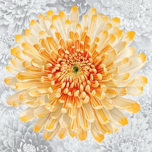 Comprador de Etsy ha añadido una foto de su compra