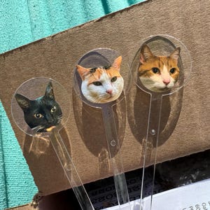 Gabrielle hat ein Foto des gekauften Artikels hinzugefügt