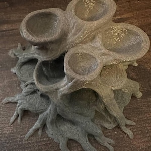 Erica added a photo of their purchase