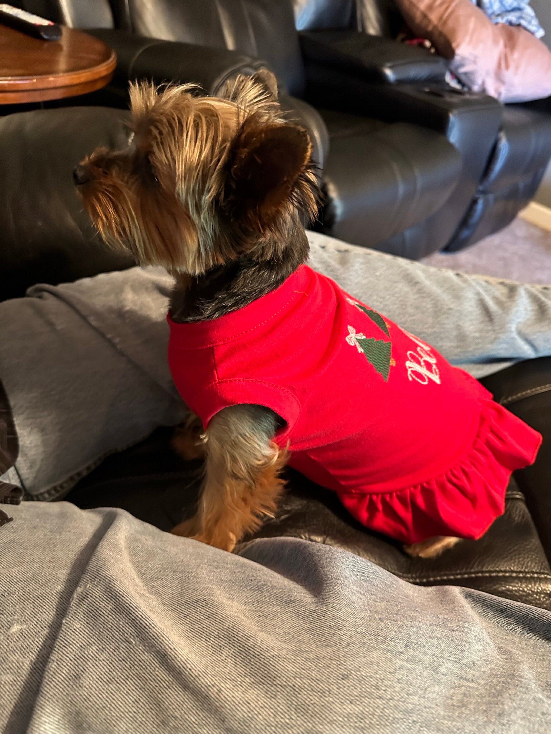 Christmas Dog Shirt or Dress, Christmas Bow Tree Sketch Trio Monogrammed Shirt, Beautiful Personalized Embroidered Holiday Puppy Clothing