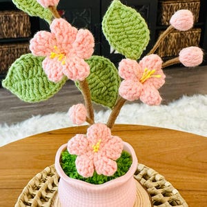 Arlene added a photo of their purchase