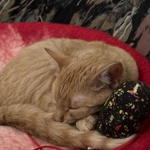 Susanne added a photo of their purchase