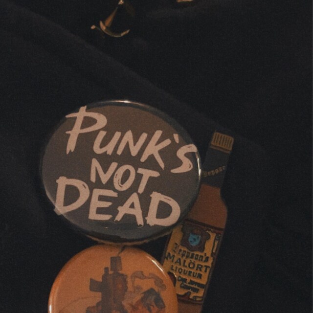 その他 Pin's Punk Attitude punk-teen-outdoors-stockcake.jpg