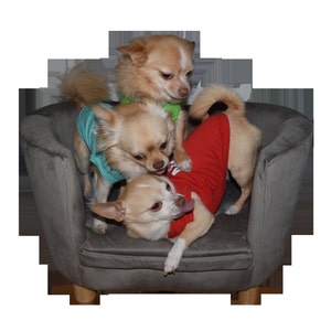 Reggie added a photo of their purchase