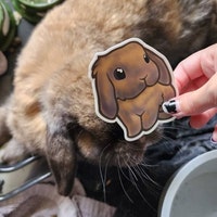 Lop Bunny Sticker Peeking Cute Rabbit Laptop Decal / Car Decal / Phone ...