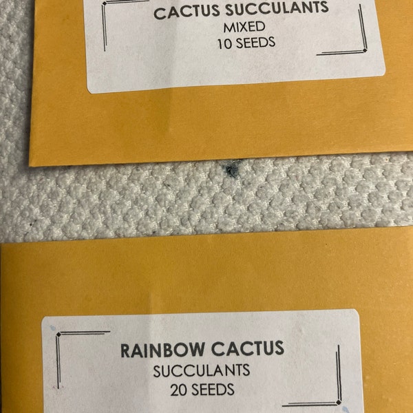 20 Rainbow Cactus Succulent Seed Rare and 10 Cactus Succulent Seeds for
