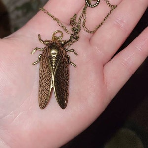 bee ha añadido una foto de su compra