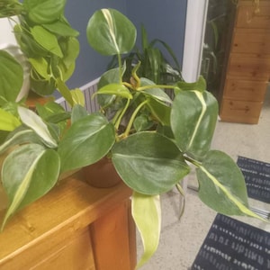 John added a photo of their purchase