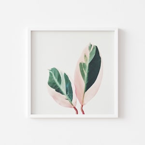 Cassia added a photo of their purchase