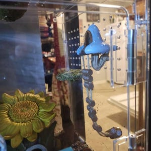 Randee added a photo of their purchase