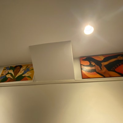 Mexican Proverb They Tried to Bury Us Seeds Paper Giclee Print of