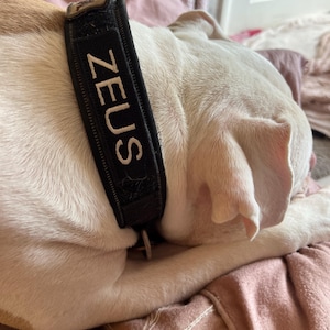 Maxine added a photo of their purchase