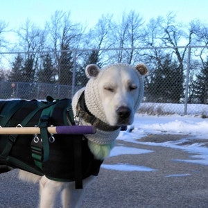 Scouting Canine added a photo of their purchase